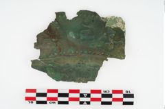 Foto von Bronzebreitrandschüssel (NHMW-PRAE-002320)